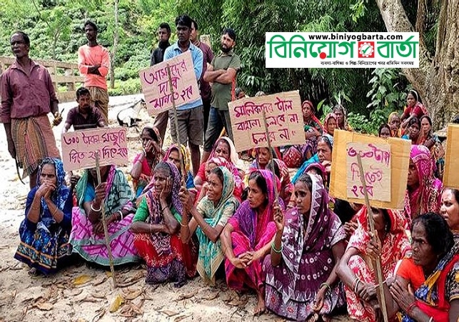 Biniyougbarta | বিনিয়োগবার্তা: ব্যবসা-বাণিজ্য, শিল্প-বিনিয়োগের খবর প্রতিদিন সবসময়